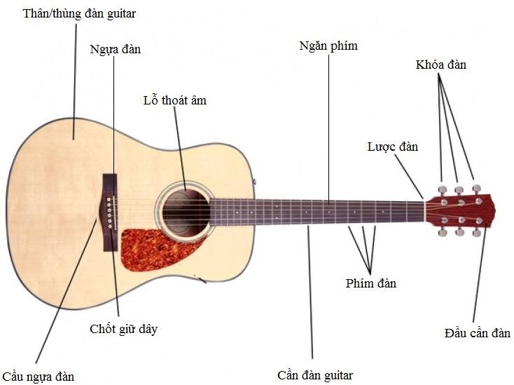 cấu tạo đàn guitar