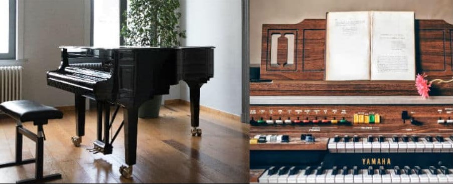học đàn organ và piano khác nhau như thế nào